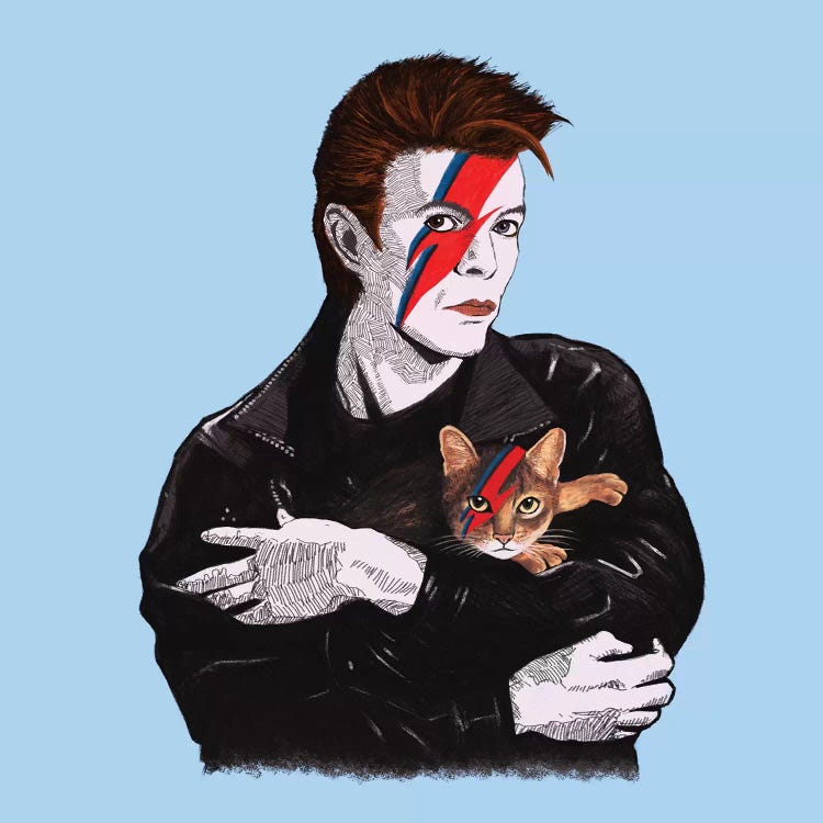 David & The Cat