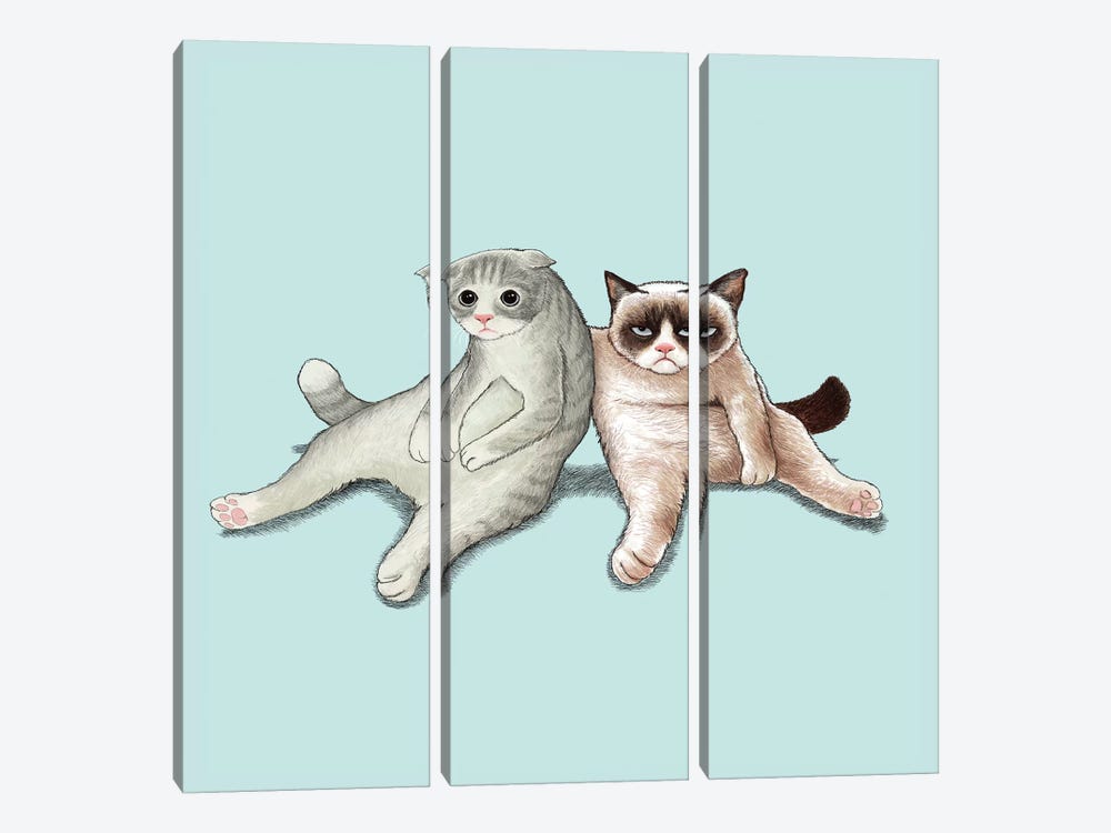 Angry Cat And Friend by Tummeow 3-piece Canvas Print
