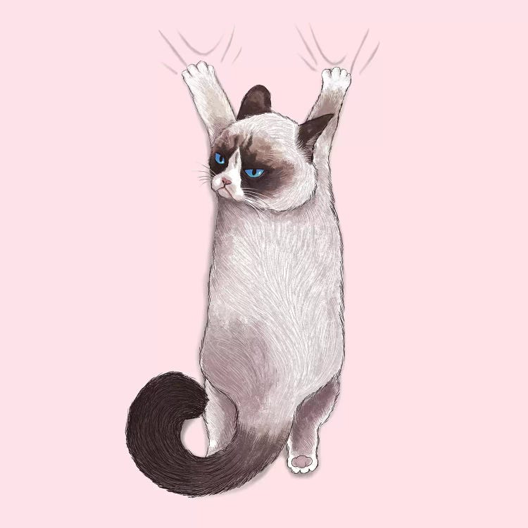 Angry Hang by Tummeow wall art