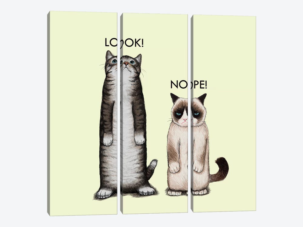 Look Nope by Tummeow 3-piece Canvas Art