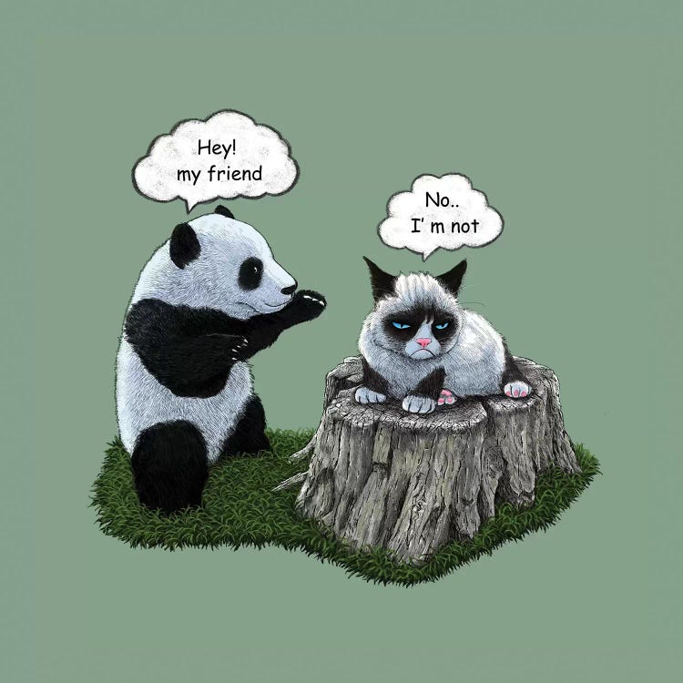 Panda by Tummeow wall art