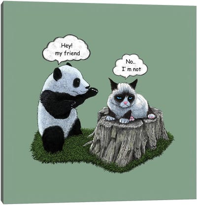 Panda Canvas Art Print - Tummeow