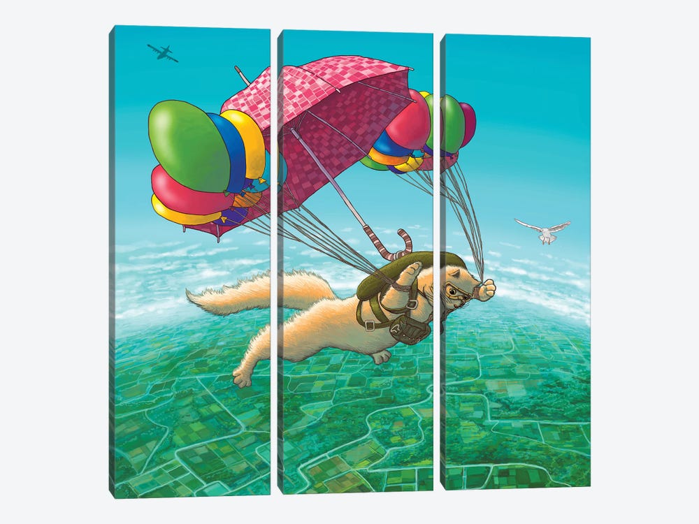 Parachute by Tummeow 3-piece Canvas Art