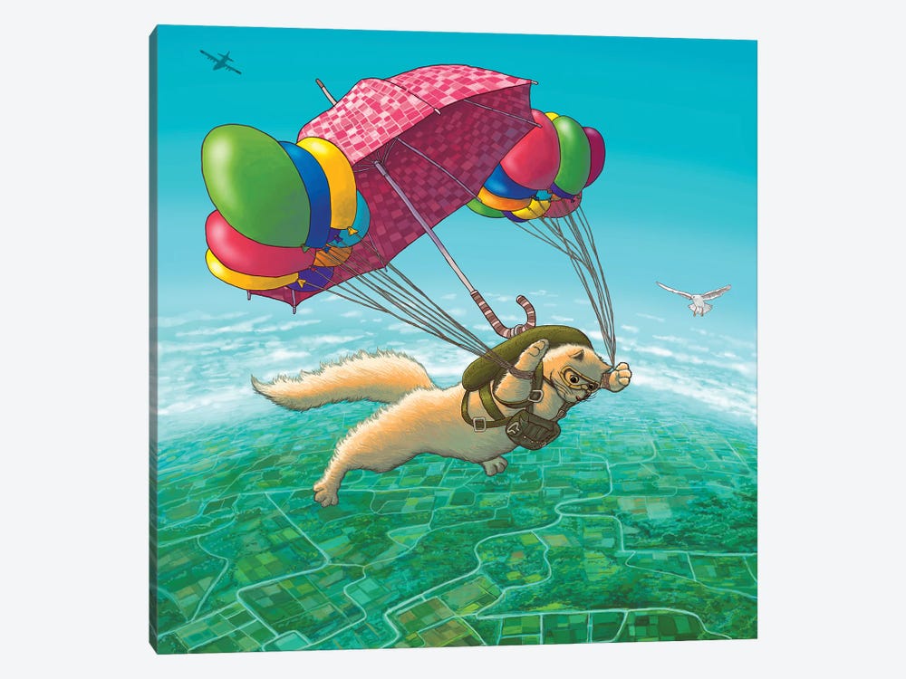 Parachute by Tummeow 1-piece Canvas Artwork