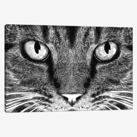 The Cat Canvas Print #TUM56} by Tummeow Canvas Print