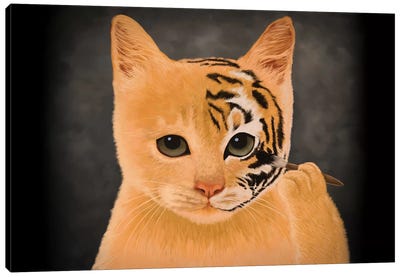 Tiger Canvas Art Print - Tummeow