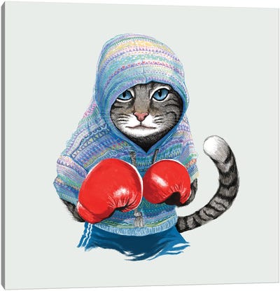 Boxing Cat I Canvas Art Print - Fitness Fanatic
