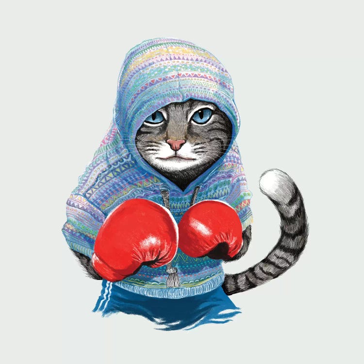 Boxing Cat I