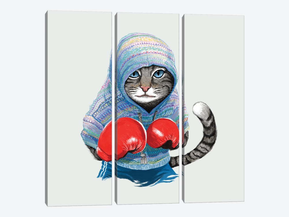 Boxing Cat I by Tummeow 3-piece Canvas Art