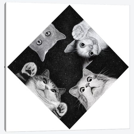 When You Are Kitten Canvas Print #TUM61} by Tummeow Canvas Art Print