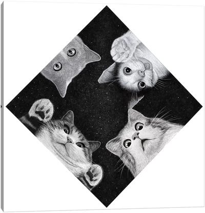 When You Are Kitten Canvas Art Print - Tummeow