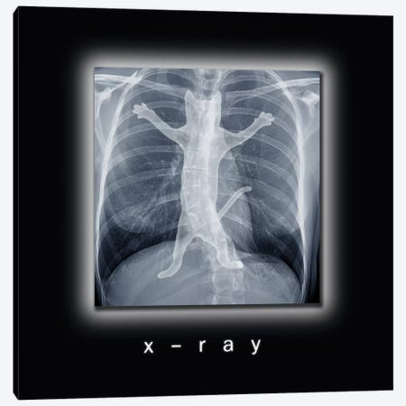 X-ray Canvas Print #TUM64} by Tummeow Canvas Wall Art