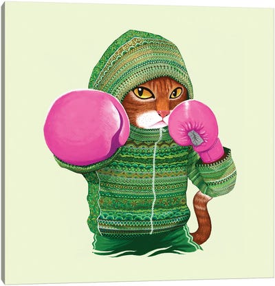 Boxing Cat IV Canvas Art Print - Fitness Fanatic