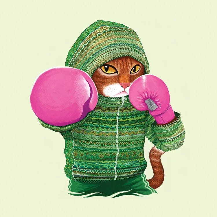 Boxing Cat IV