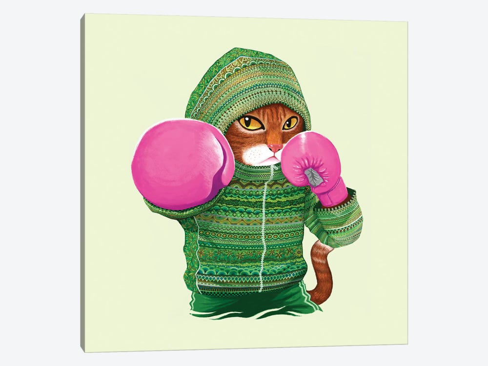 Boxing Cat IV by Tummeow 1-piece Canvas Print