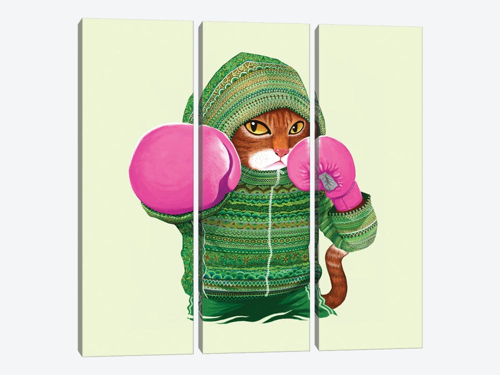 Boxing Cat IV by Tummeow 3-piece Canvas Art Print