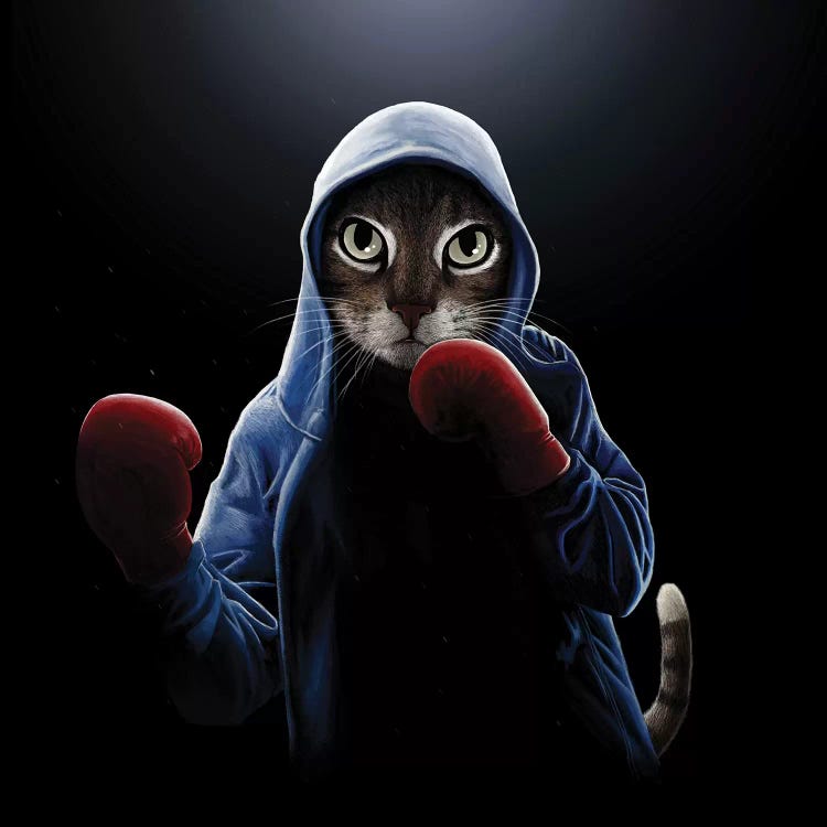 Boxing Cool Cat by Tummeow wall art
