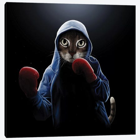 Boxing Cool Cat Canvas Print #TUM9} by Tummeow Canvas Print