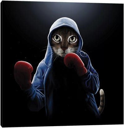 Boxing Cool Cat Canvas Art Print - Catfight