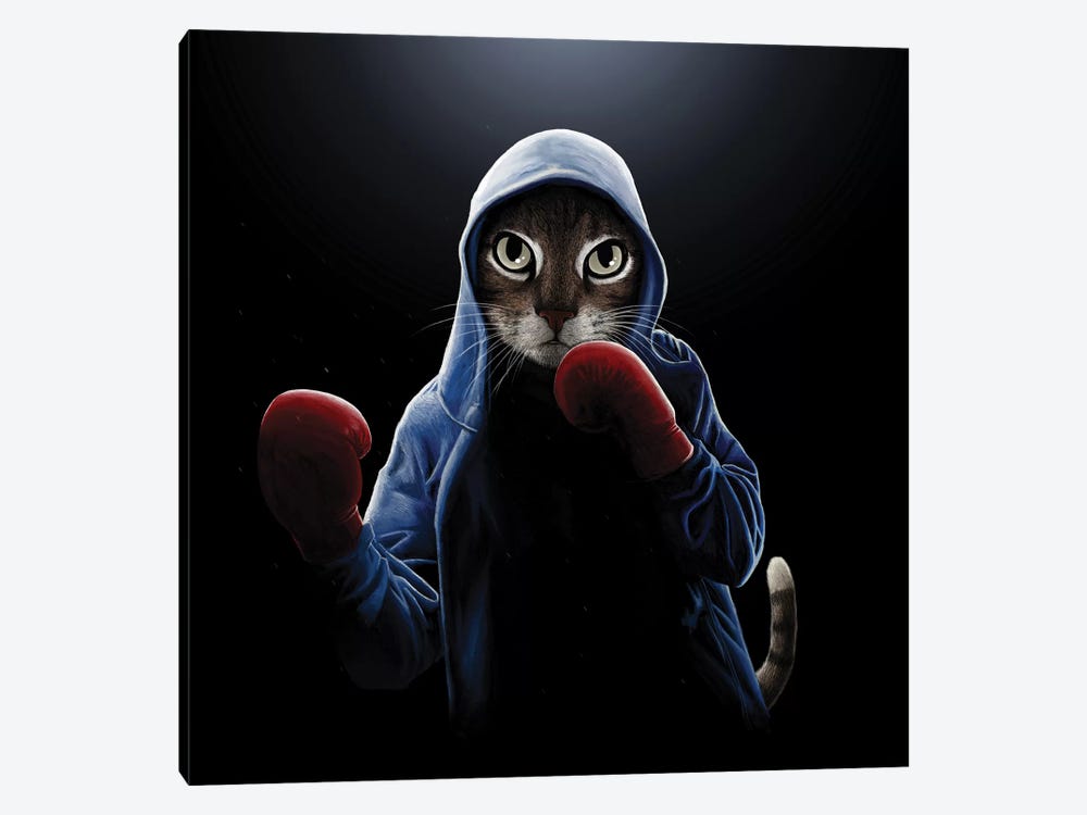 Boxing Cool Cat by Tummeow 1-piece Canvas Artwork