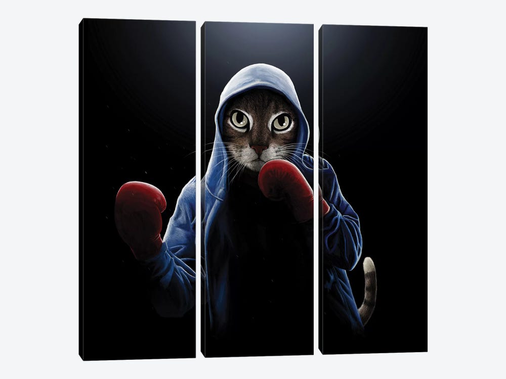 Boxing Cool Cat by Tummeow 3-piece Canvas Wall Art