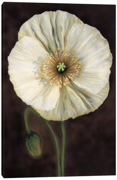 Flora I Canvas Art Print