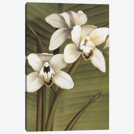 Orchid With Palm I Canvas Print #TVL5} by Andrea Trivelli Canvas Wall Art