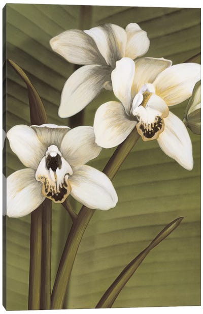 Orchid With Palm I Canvas Art Print - Orchid Art