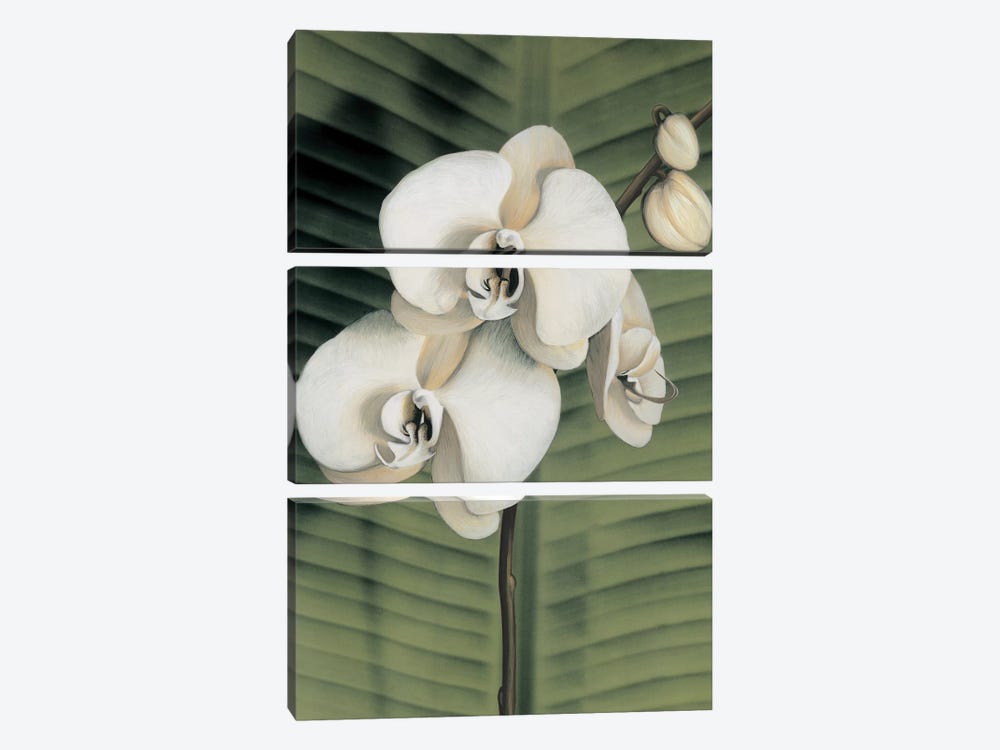 Orchid With Palm II by Andrea Trivelli 3-piece Canvas Artwork