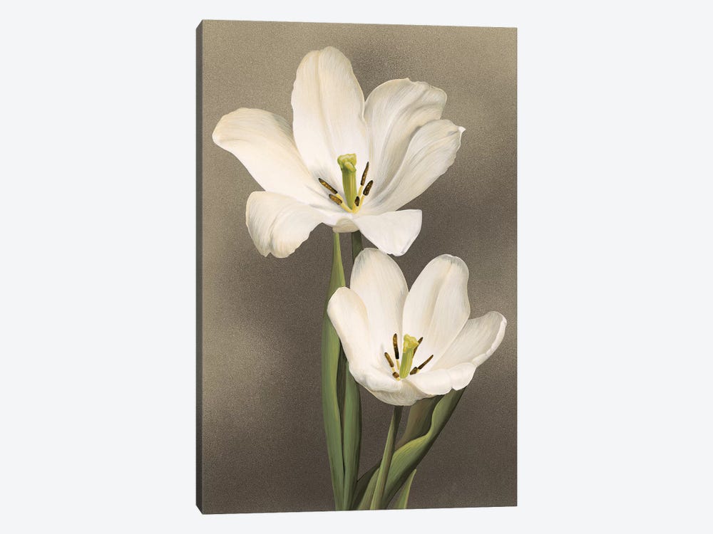 Tulipani 1-piece Canvas Art Print
