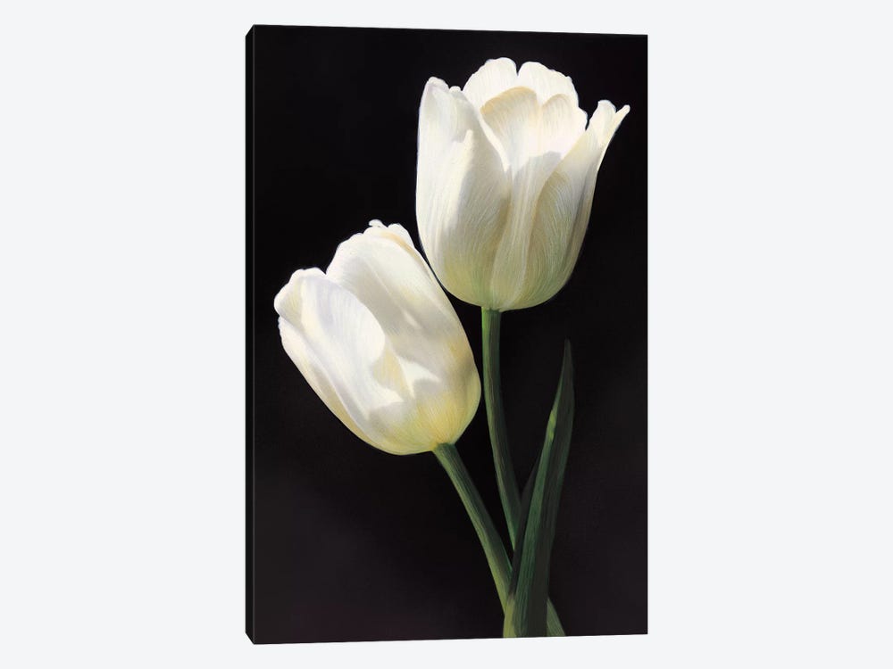 Tulipani bianchi by Andrea Trivelli 1-piece Canvas Print