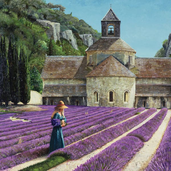 Herbs: Lavender Picker, Abbaye Senanque, Provence by Trevor Neal