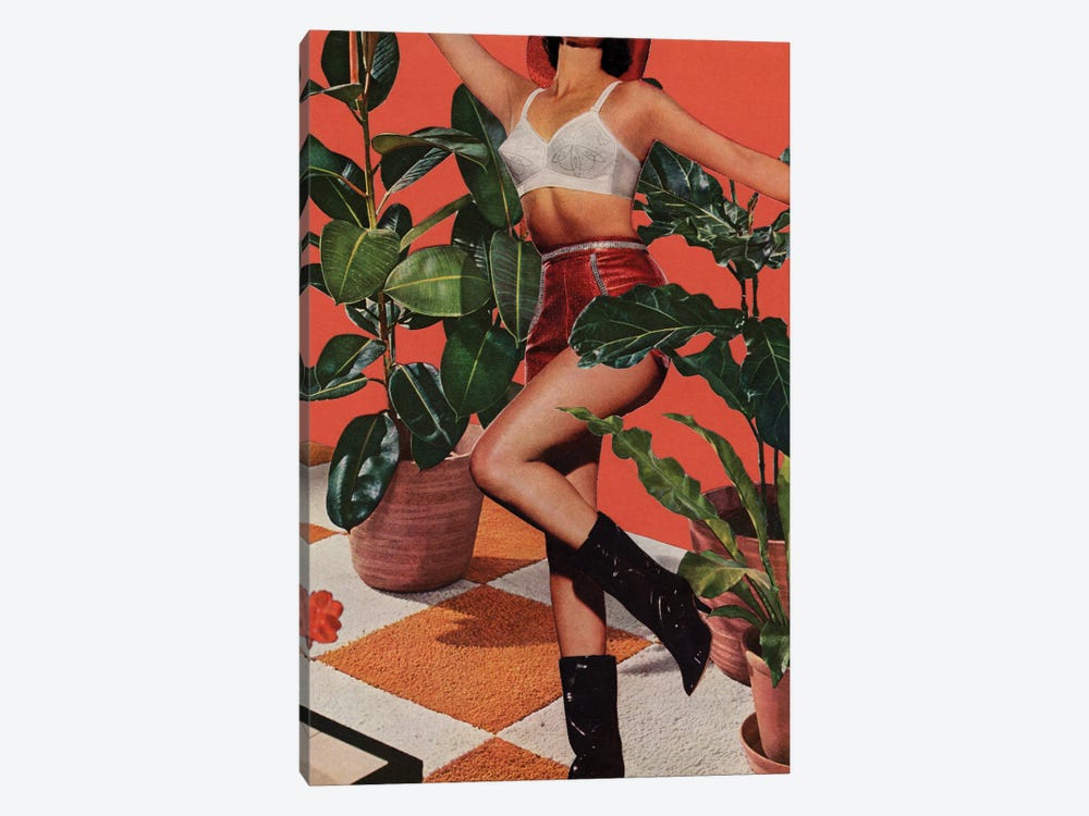 House Plants II by Tyler Varsell 1-piece Canvas Print