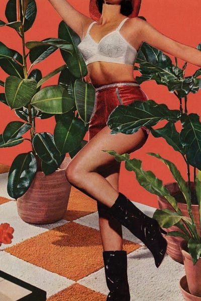 Lingerie: House Plants II by Tyler Varsell