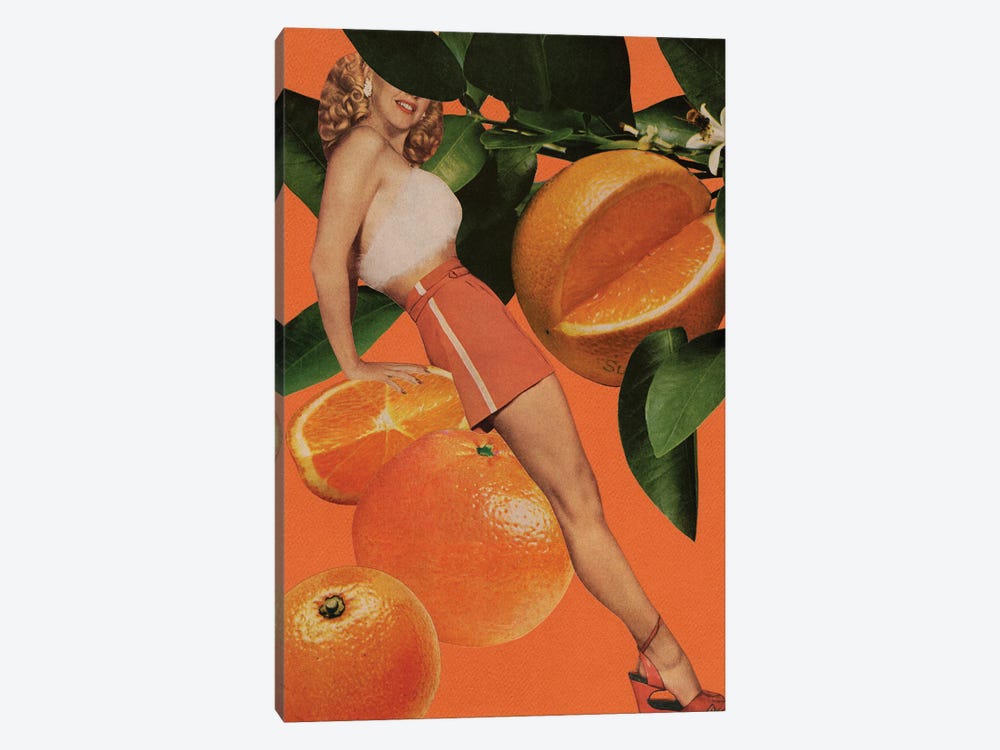 Vitamin C by Tyler Varsell 1-piece Canvas Artwork