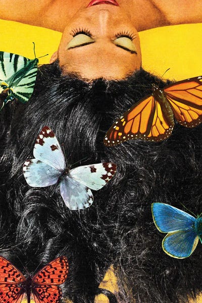 Monarch Butterflies: Hair by Tyler Varsell