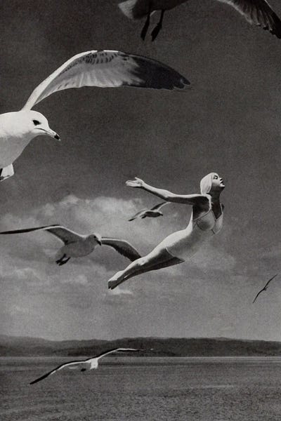 Fly Away by Tyler Varsell framed wall art