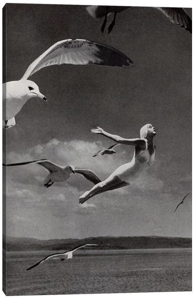 Fly Away Canvas Art Print - Gull & Seagull Art