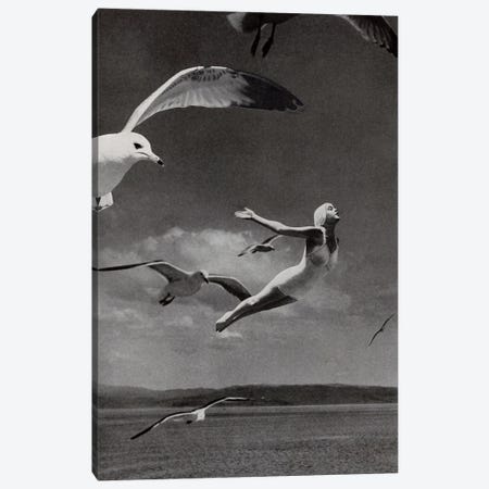 Fly Away Canvas Print #TVS26} by Tyler Varsell Canvas Artwork