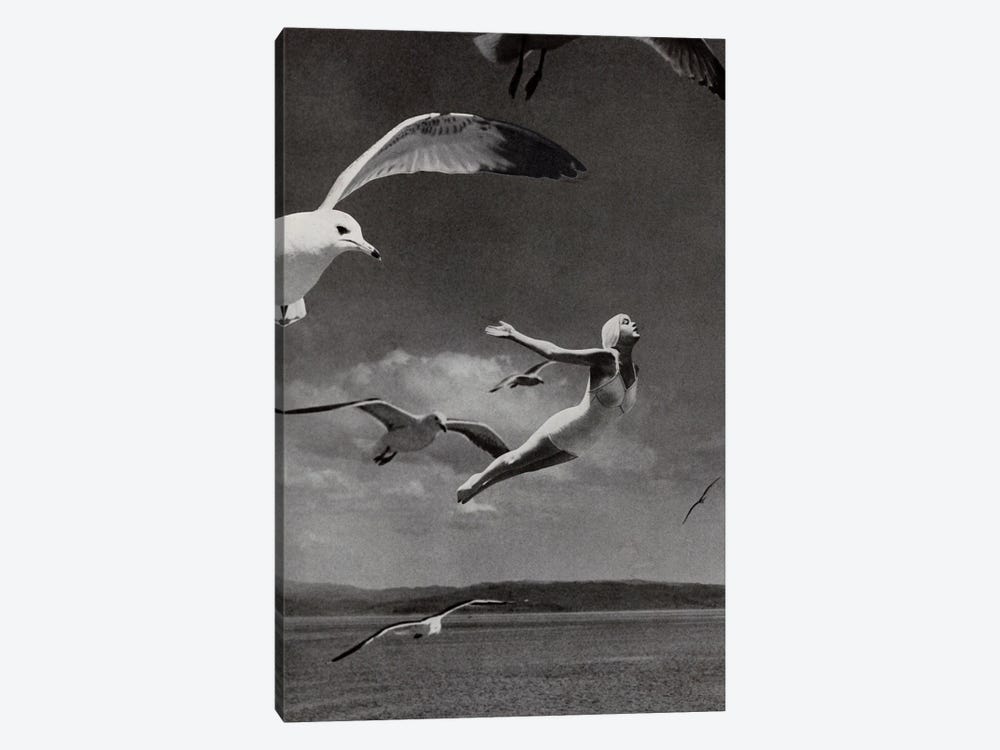 Fly Away by Tyler Varsell 1-piece Art Print