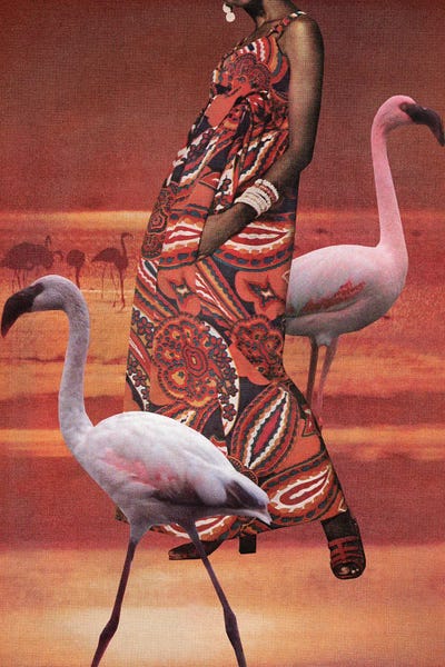 Tyler Varsell: Flamingos by Tyler Varsell