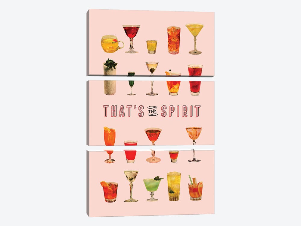 That's The Spirit (Pink) by Tyler Varsell 3-piece Canvas Artwork