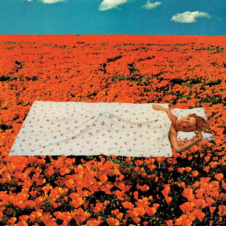 Beauty Rest by Tyler Varsell wall art