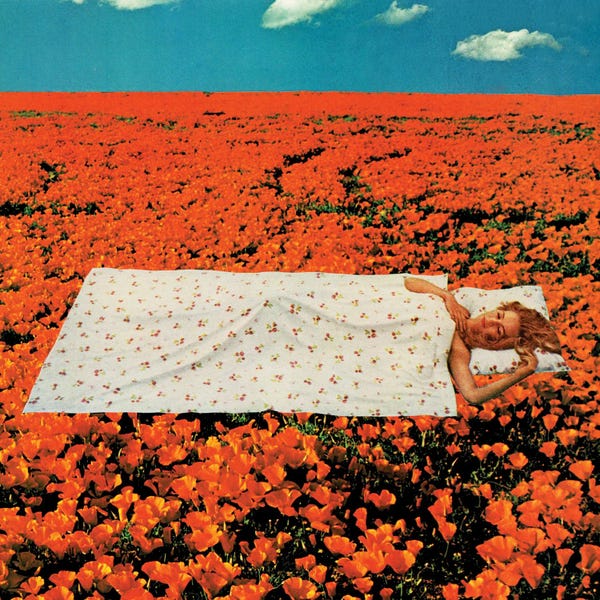 Sleeping & Napping: Beauty Rest by Tyler Varsell