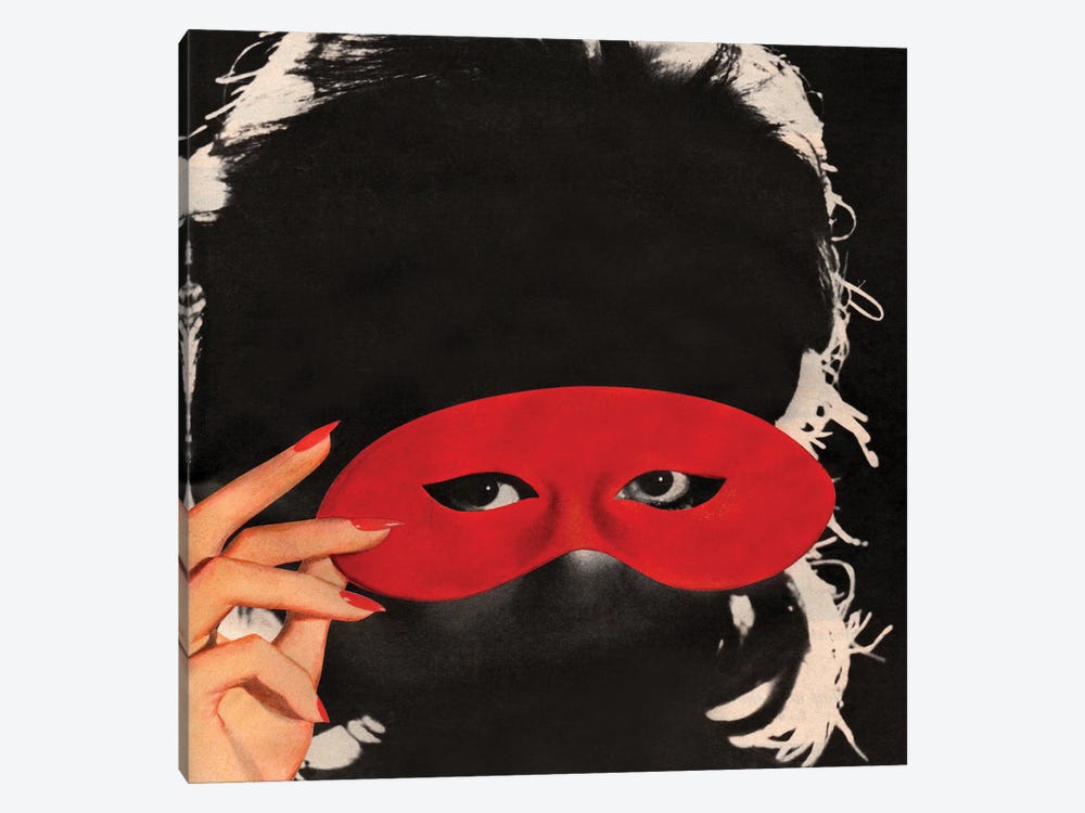 Masked II by Tyler Varsell 1-piece Canvas Artwork