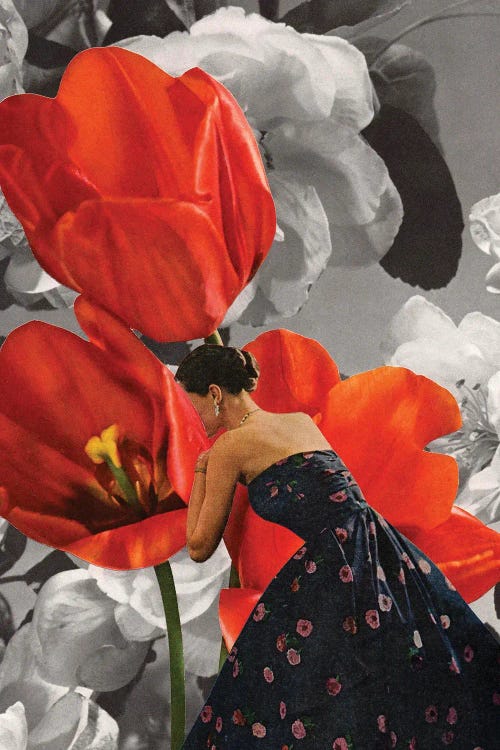 Whisper by Tyler Varsell wall art