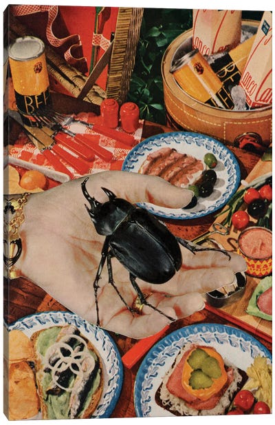 Smorgasbord Canvas Art Print - Beetle Art