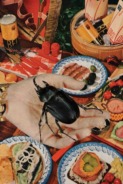 Beetles: Smorgasbord by Tyler Varsell