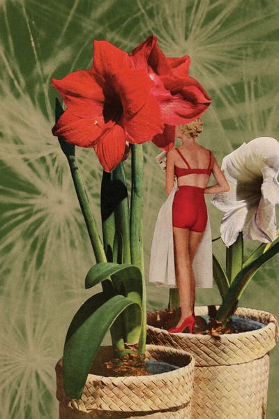 Lingerie: Masked by Tyler Varsell