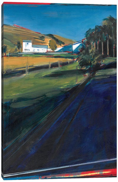 Vineyard In Hawkes Bay Canvas Art Print - Tom Voyce